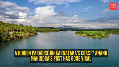  Anand Mahindra shares photos of this hidden Karnataka paradise, netizens can't believe it's real