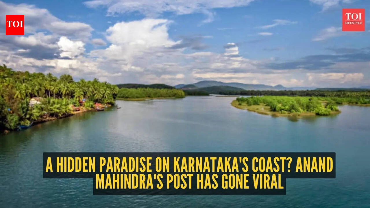 Not Goa, not Kerala: Anand Mahindra shares photos of this hidden Karnataka paradise, netizens can't believe it's real
