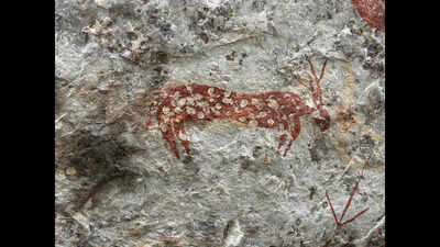 ASI survey uncovers ancient monolithic rock art in Nallamala tiger reserve