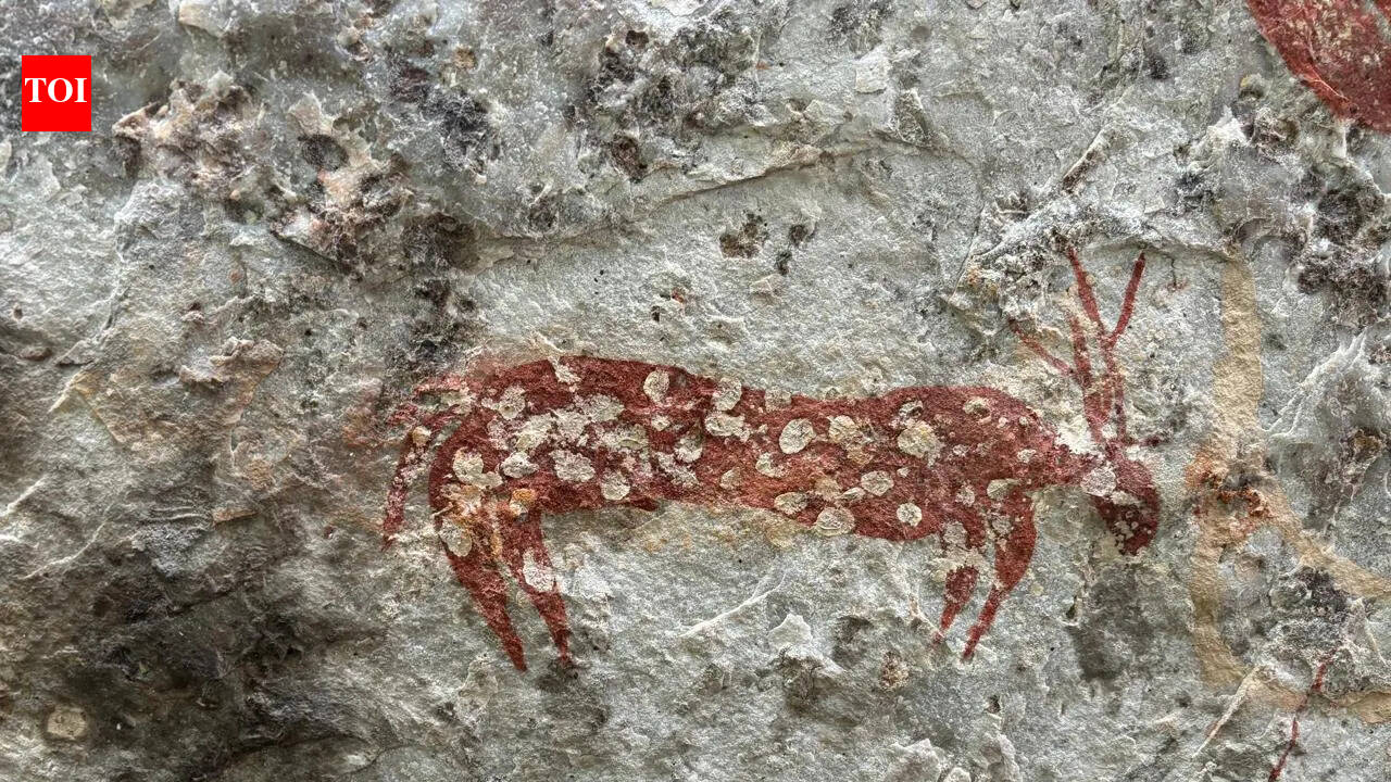 ASI survey uncovers ancient monolithic rock art in Nallamala tiger reserve
