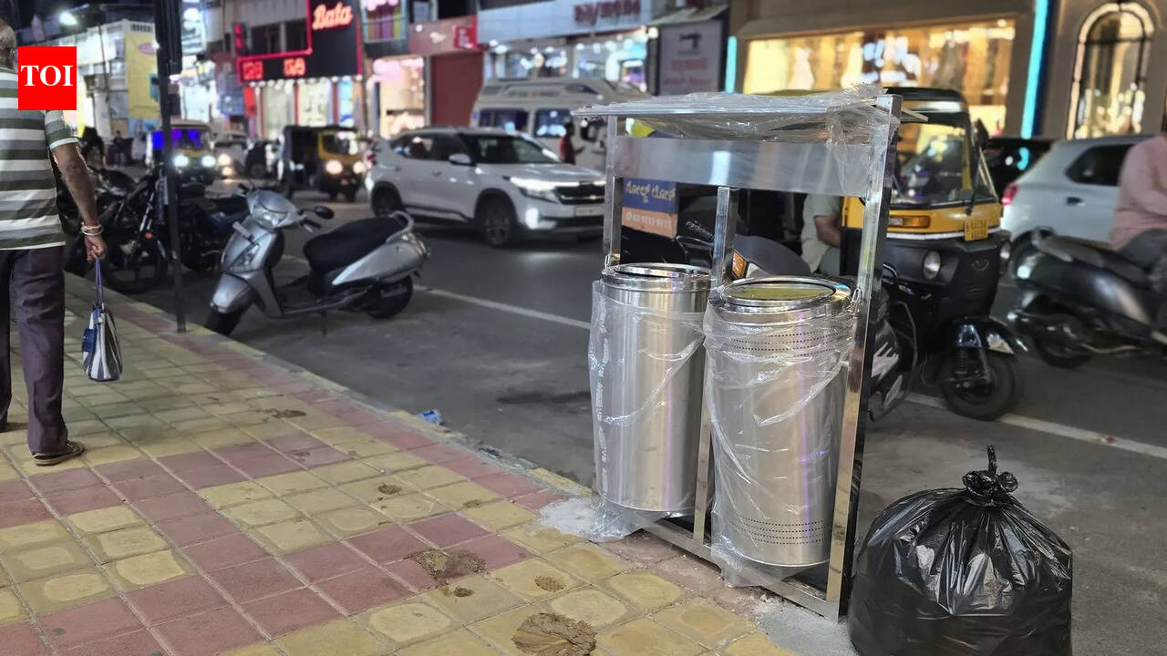 Swachh Mysuru: MCC to place 100 public dustbins to curb littering, welcome tourists