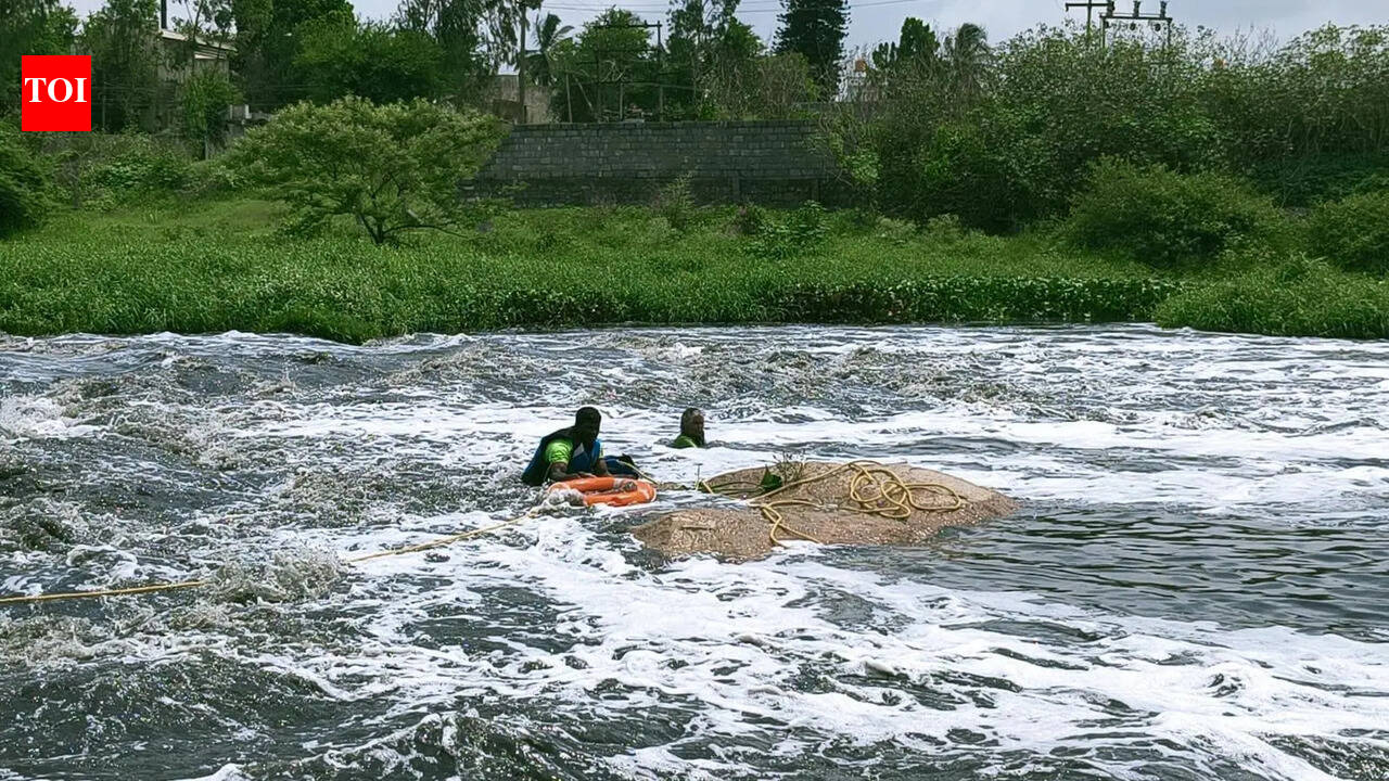 Elderly woman rescued from Thenpennai River