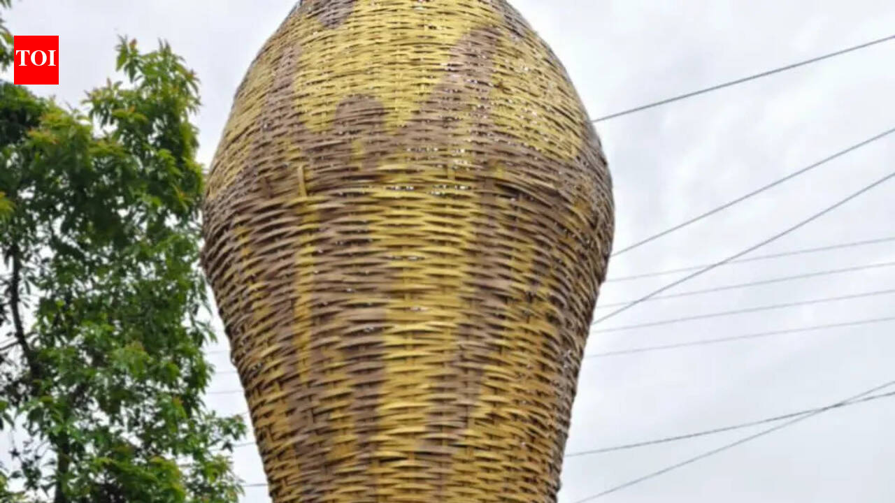 ‘If we can’t see it, we’ll build it’: Nagaland’s 15-ft bamboo World Cup trophy becomes new shrine for football faithful