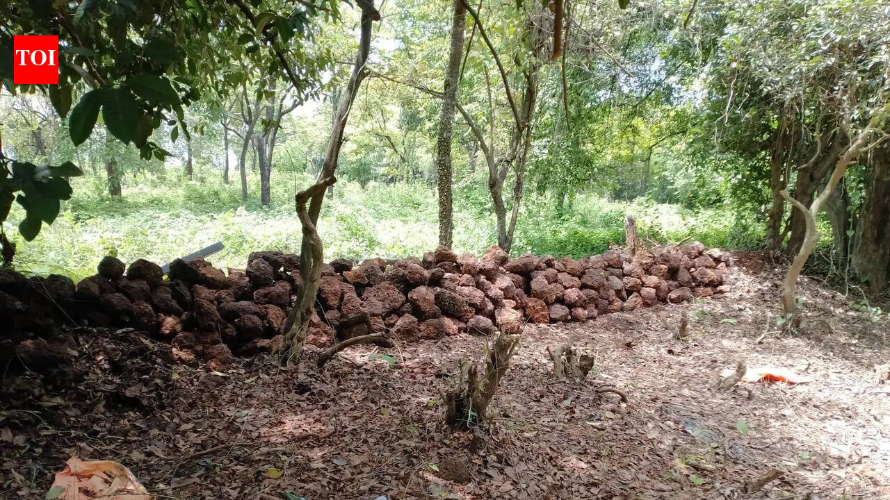 Gate on Mandur tenanted land removed before inspection