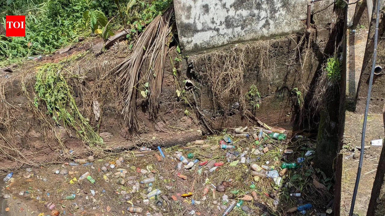 Merces creek cries for revival as sewage, waste choke waters