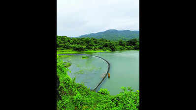 Water levels in Goa dams continue to dip as rainfall deficit hits 45%