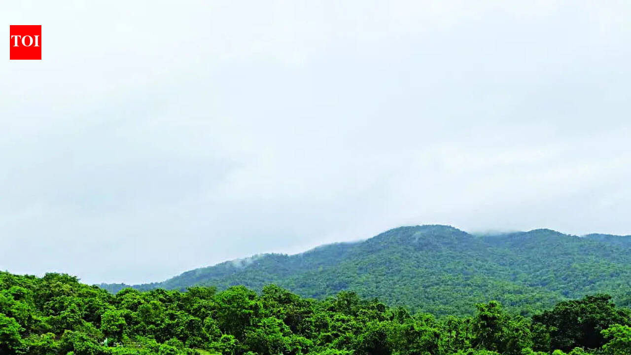 Water levels in Goa dams continue to dip as rainfall deficit hits 45%
