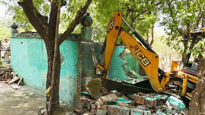 Mazar built on green belt in Tronica City razed