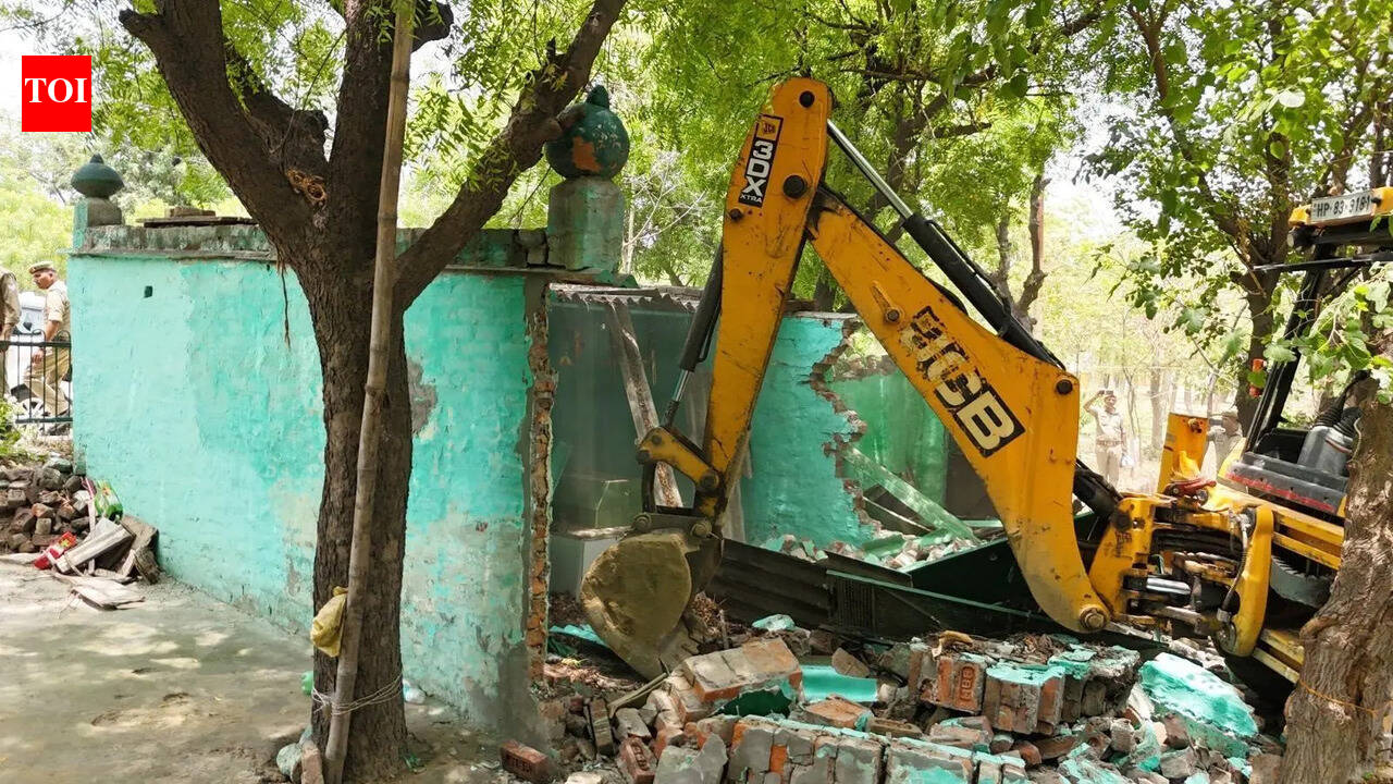 Mazar built on green belt in Tronica City razed