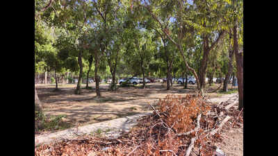 HC directs Chandigarh administration to create additional parking facility to ease chaos around Rock Garden