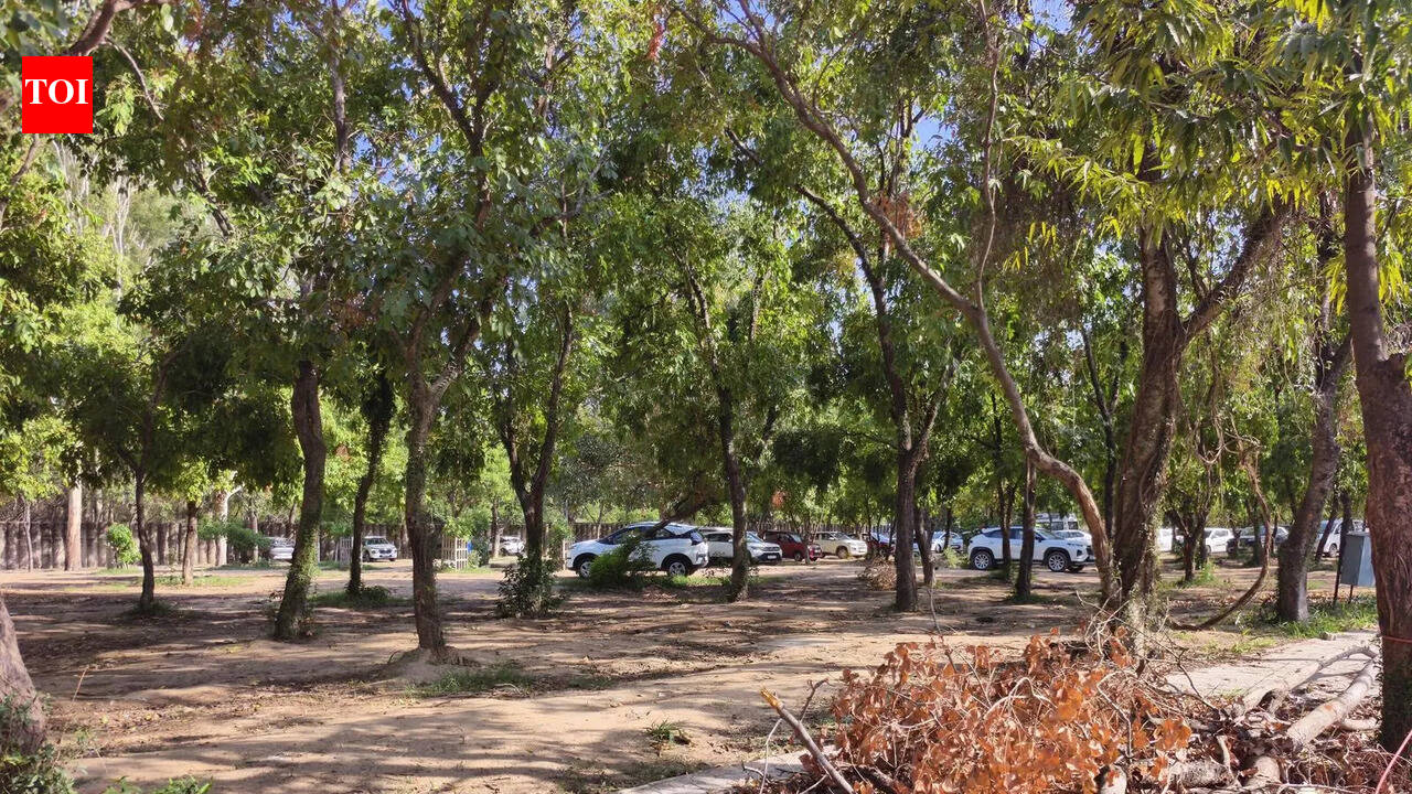 HC directs Chandigarh administration to create additional parking facility to ease chaos around Rock Garden