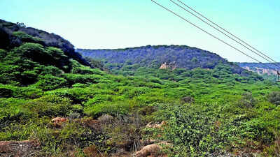 NCZ restoration puts focus on delayed mapping of Aravali, conservation zones