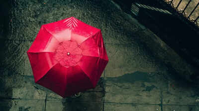 Will it get hotter in Delhi-NCR before the rains? What travellers need to know