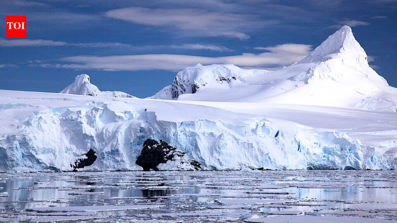 'It's depressing': A France-sized area of Antarctica's winter sea ice is missing as temperatures soar 20°C above average