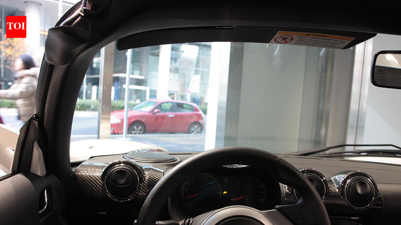 Tiny fake heads, celebrity faces and blinking screens are helping some Tesla drivers in China game camera safeguards