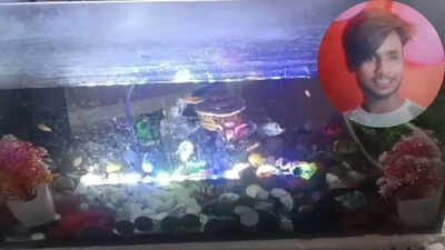 UP man ends life after power outage kills aquarium fish