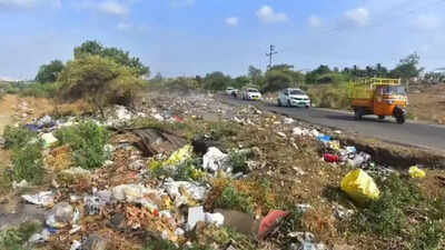 A bird strike away from disaster? Pune air station’s garbage menace raises aviation safety fears