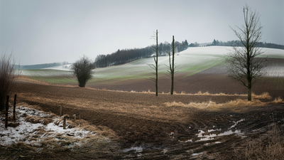 Europe’s winters are quietly shrinking, with mid-winter snow cover down 20%, while spring has lost up to 30%
