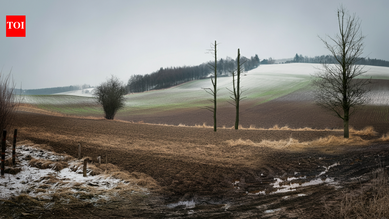 Europe’s winters are quietly shrinking, with mid-winter snow cover down 20%, while spring has lost up to 30%
