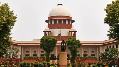 'You are nobody': SC rebukes 'so-called RTI activist', refuses anticipatory bail