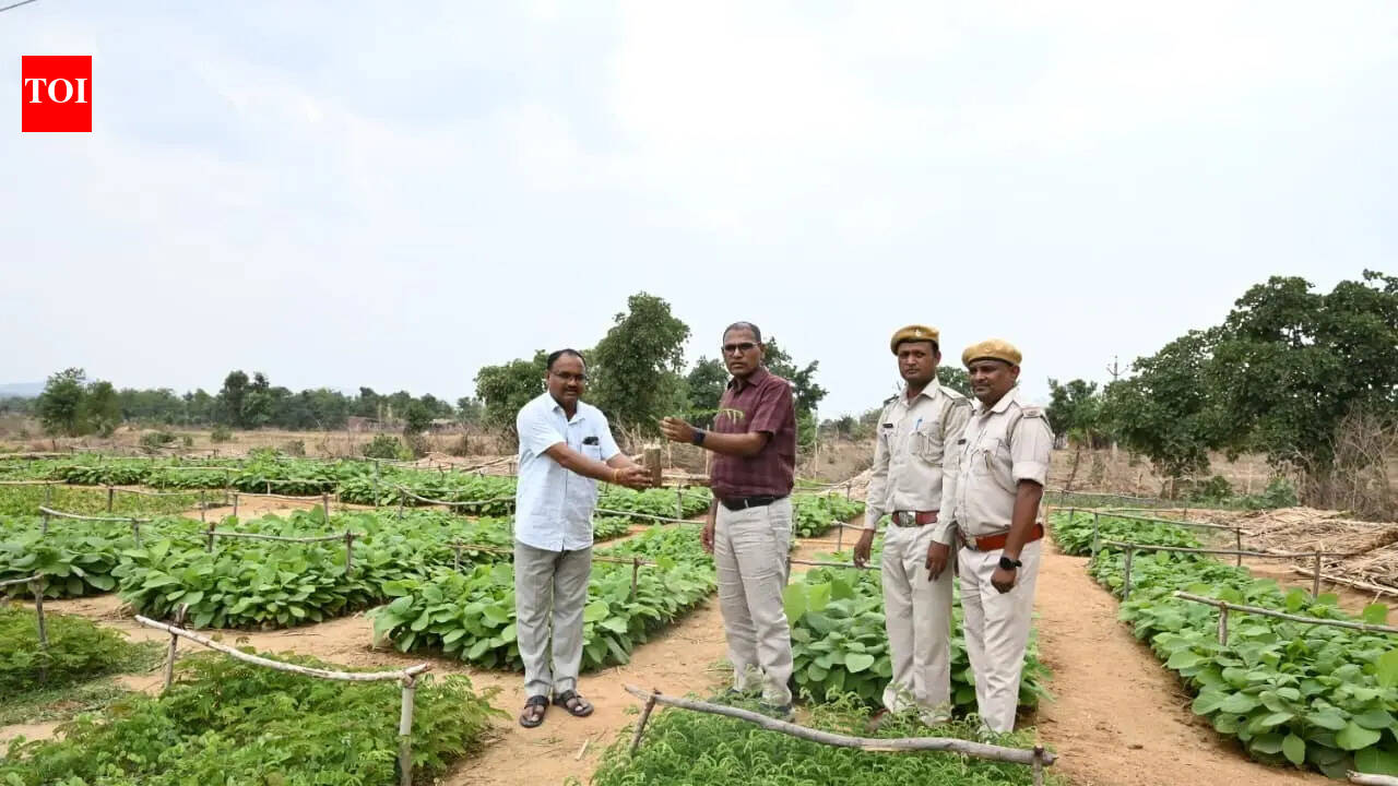 Palamu village withdraws cultivation from 7 acres of forest land, makes way for nursery