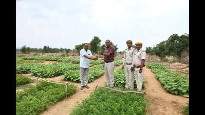 Palamu village withdraws cultivation from 7 acres of forest land, makes way for nursery