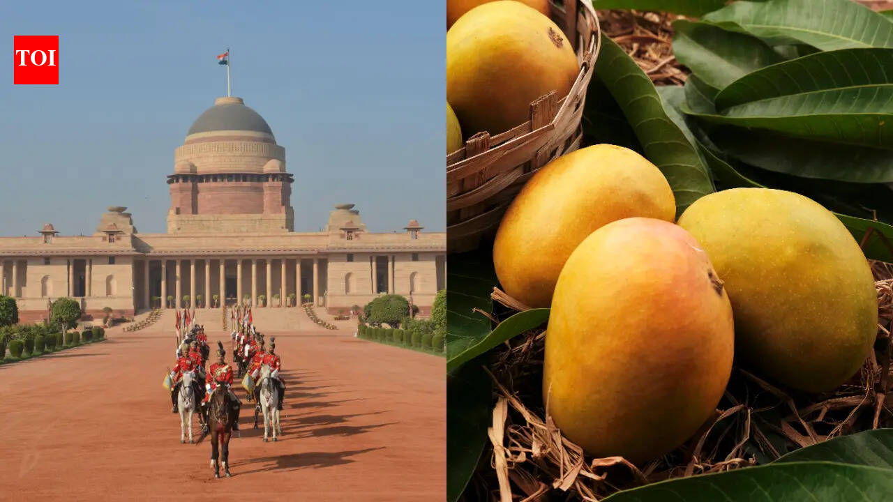 Why are Bhagalpur's Jardalu Mangoes presented to the President of India almost every year