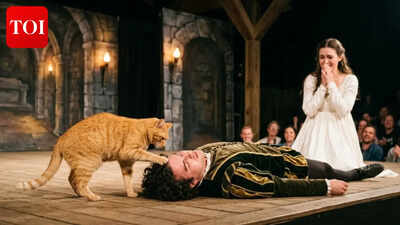 Ginger cat attempts to rewrite Romeo and Juliet’s tragic ending, watch