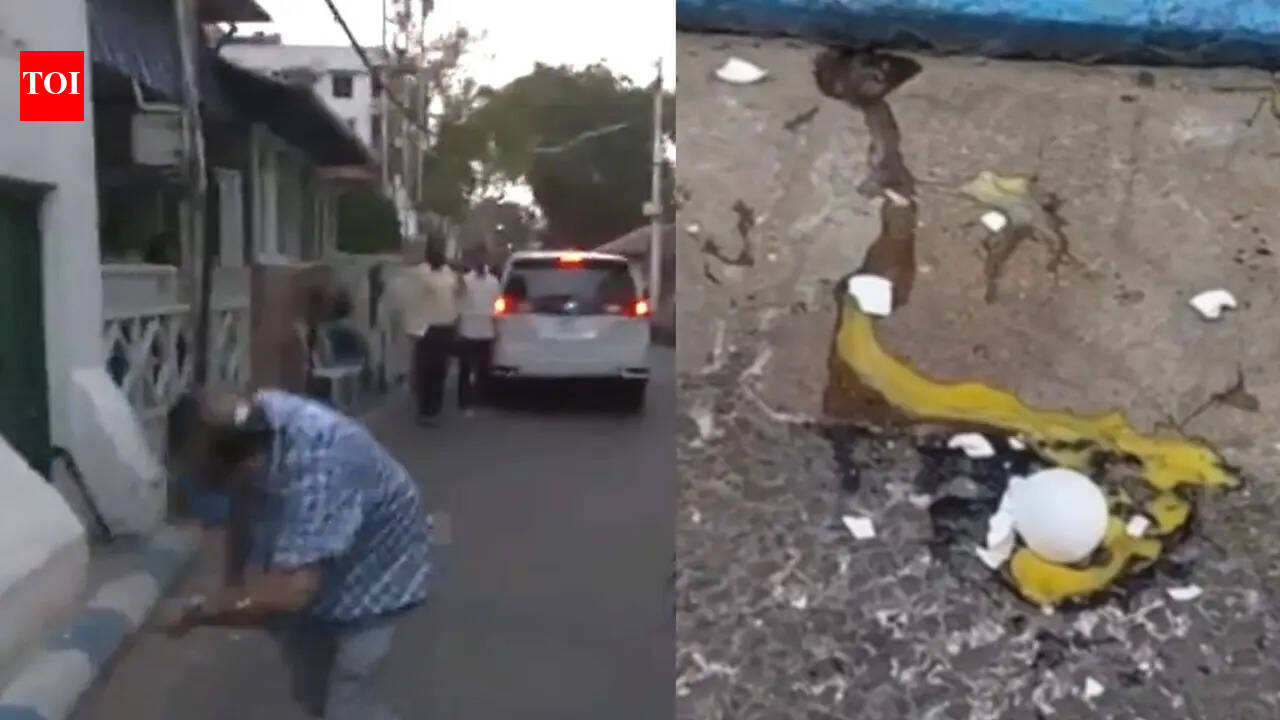 Watch: Egg hurled at TMC MLA Kunal Ghosh outside Mamata Banerjee's residence