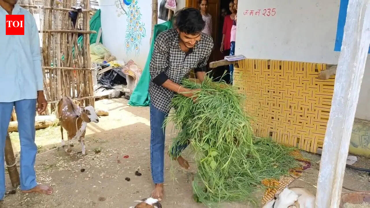 From flunking boards to cracking IIT, MP teen replicates ‘12th Fail’ story