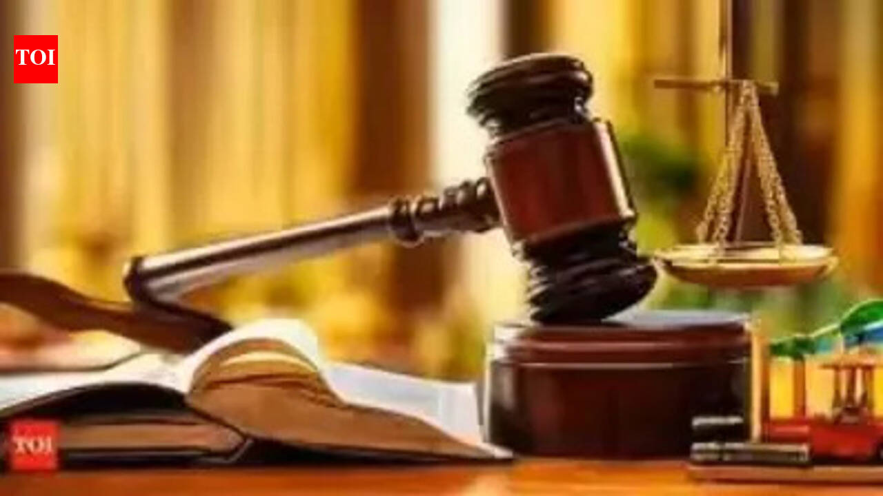 Submit data on potholes, manholes: HC to BMC