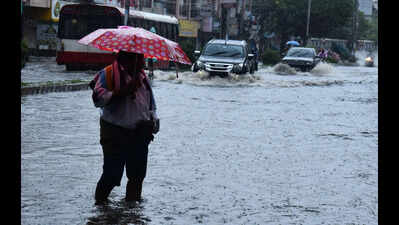 Monsoon covers entire AP with subdued rains