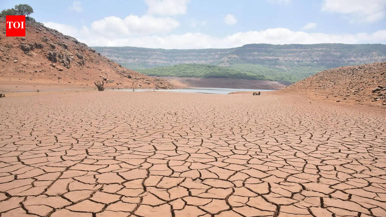 Over 50% rainfall deficit in Kolhapur, Satara &amp; Sangli districts