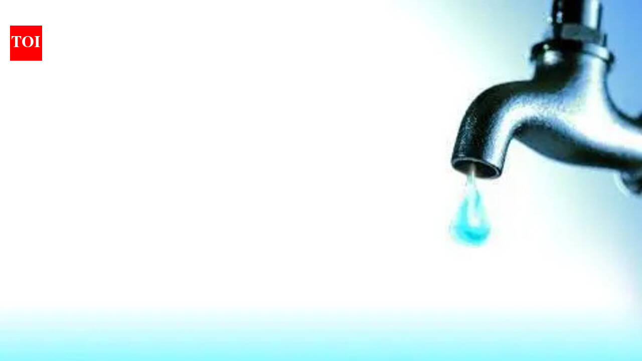 Pune Municipal Corporation begins alternate-day supply, irrigation department stops water release into canal
