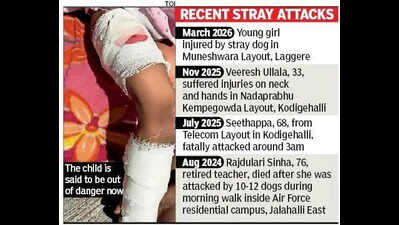 Dogs attack girl, 4, in north Bengaluru; residents demand quick action
