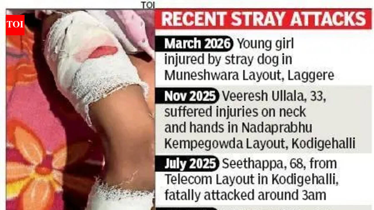 Dogs attack girl, 4, in north Bengaluru; residents demand quick action