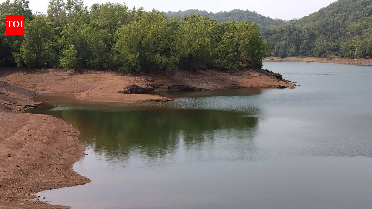 Delayed monsoon leaves Anjunem, Mhaisal dams depleted