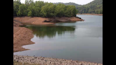 Delayed monsoon leaves Anjunem, Mhaisal dams depleted