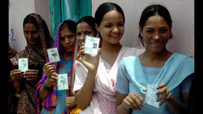 Telangana set to launch electoral roll revision amid concerns over BLO reach