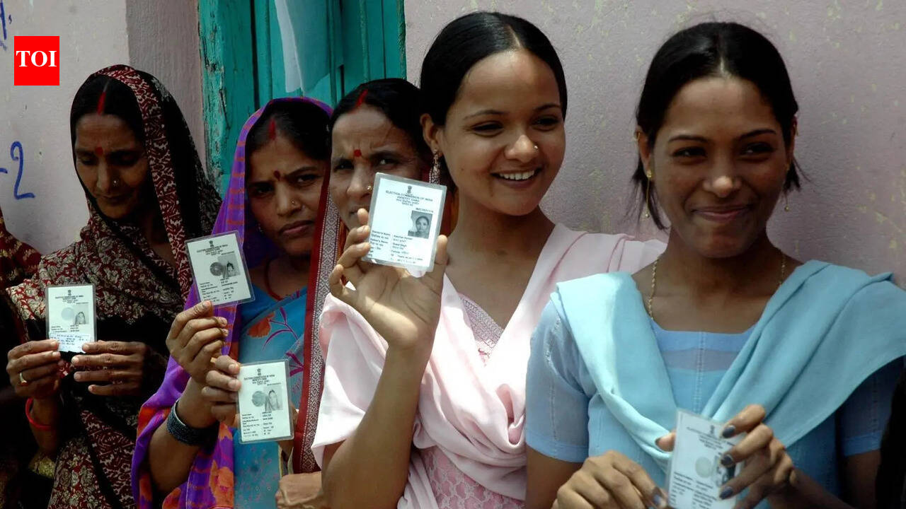 Telangana set to launch electoral roll revision amid concerns over BLO reach