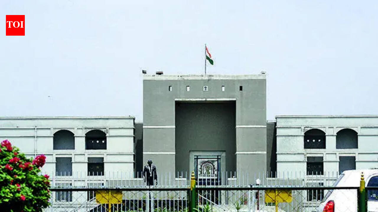 After UK custody order, Indian-origin father seeks Gujarat HC’s intervention