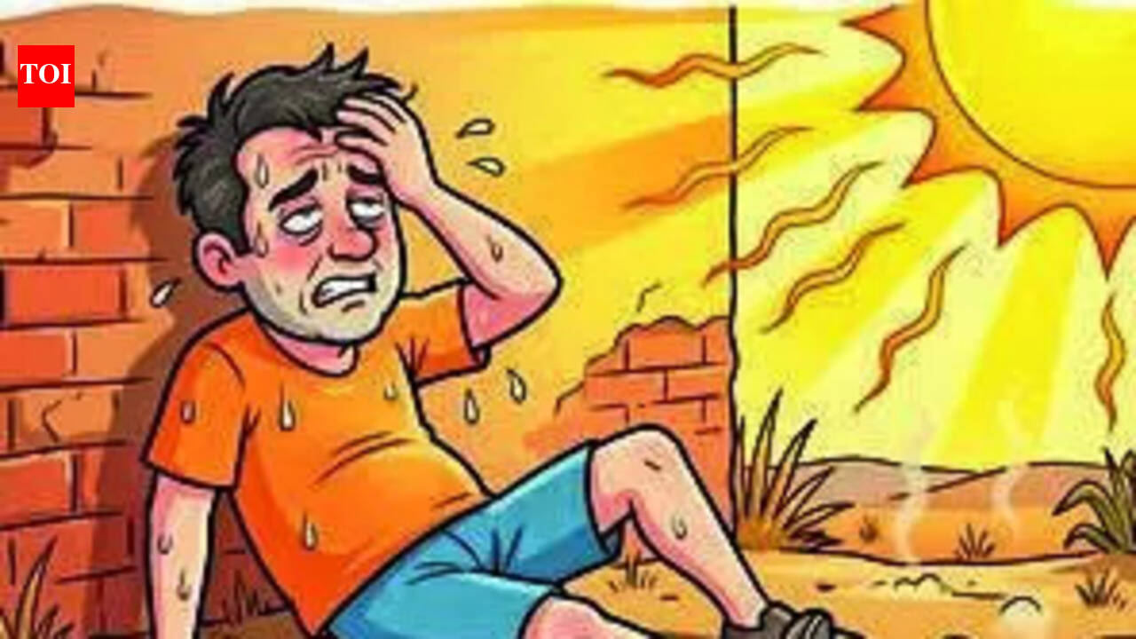 Maharashtra reports 306 heatstroke cases between March 1 and June 14