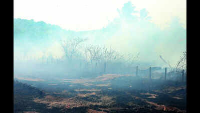 Ammunition test sparks fire at proof range of ordnance factory in Dehu Road
