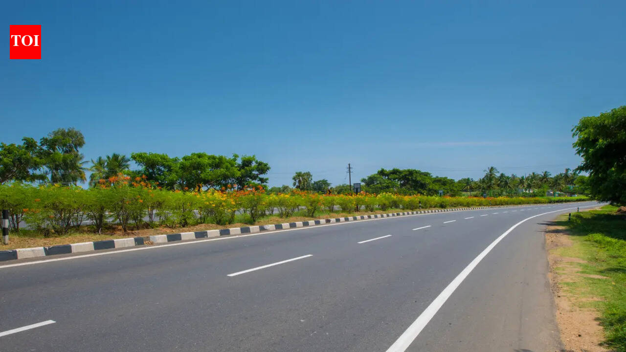Govt to compensate NH builders for diesel price surge; parliamentary panel assesses bitumen situation