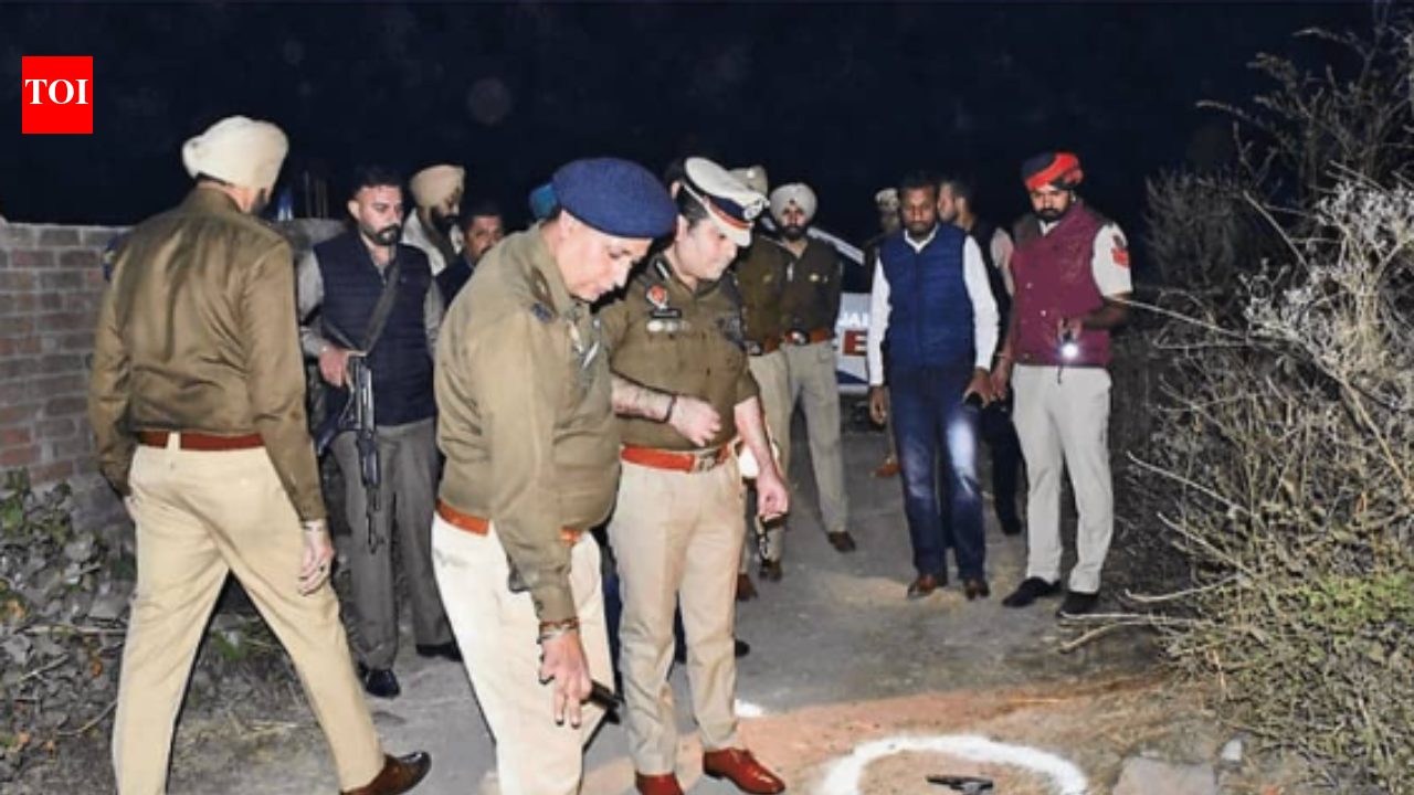In Punjab, drug-hit youth are becoming cut-price hitmen