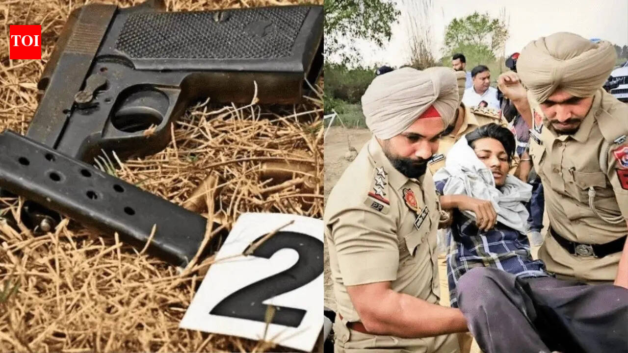 Rs 5,500 to lob a grenade, Rs 7,500 to shoot: How Punjab's drug-hit youth are becoming cut-price hitmen