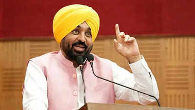 'Not manipulated or AI': Akal Takht's claim vs. AAP's identity challenge — battle rages over Bhagwant Mann video