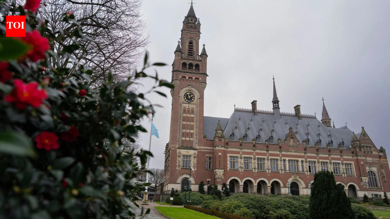 Tortured, raped opponents of Assad: Syrian man sentenced to 26 years by Dutch court