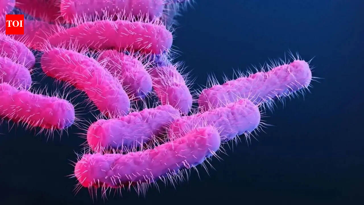 Shigella toll rises to 5 after 2 more deaths in Kerala