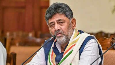 'Schemes not for outsiders': Karnataka to pull plug on free electricity to 10 lakh non-voters